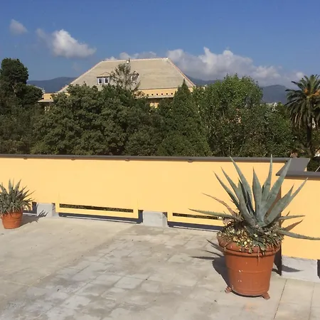 Garden Shared House Terrace Above