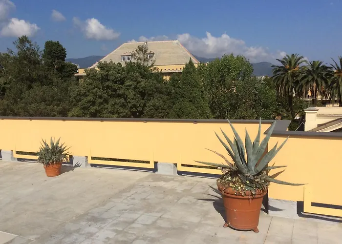 Garden Shared House Terrace Above